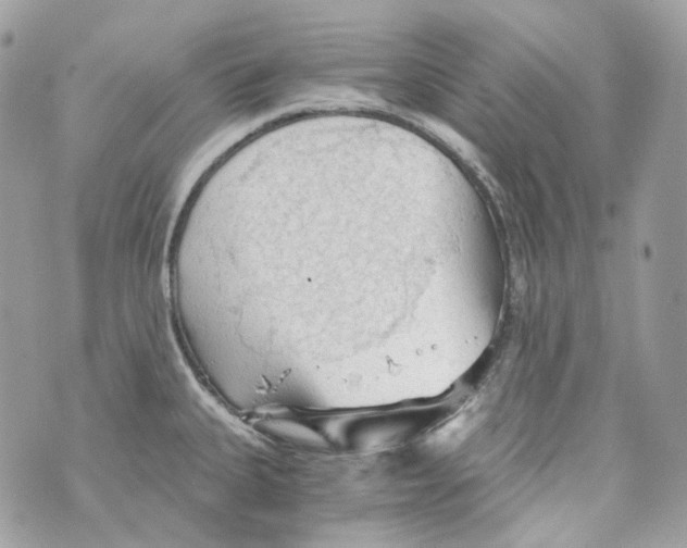 X0000069811335200606161840