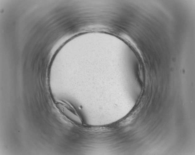 X0000069811336200606161840