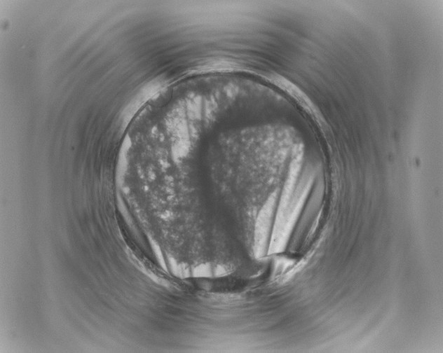 X0000069811337200606161840