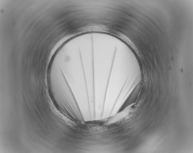 X0000069811339200606161840