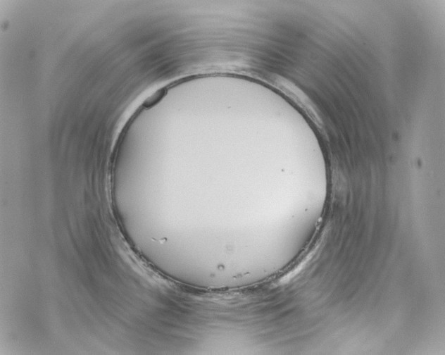 X0000069811340200606161840