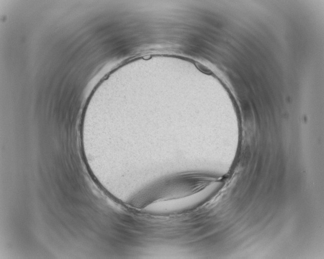 X0000069811341200606161840