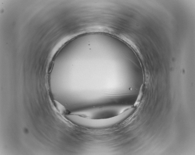 X0000069811342200606161840