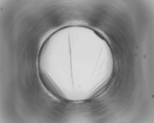 X0000069811343200606161840