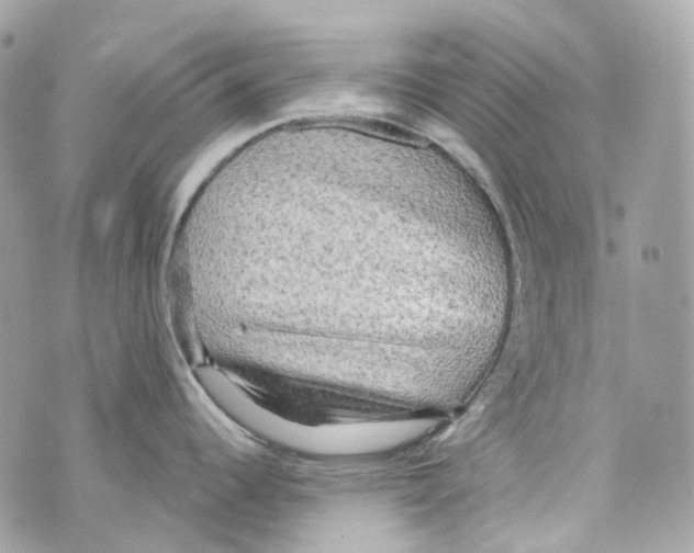 X0000069811344200606161840