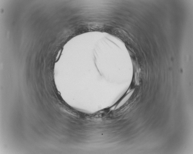 X0000069811345200606161839