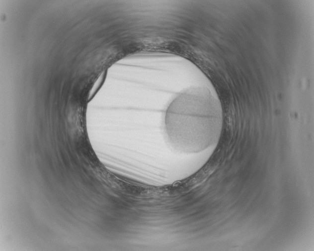 X0000069811346200606161839