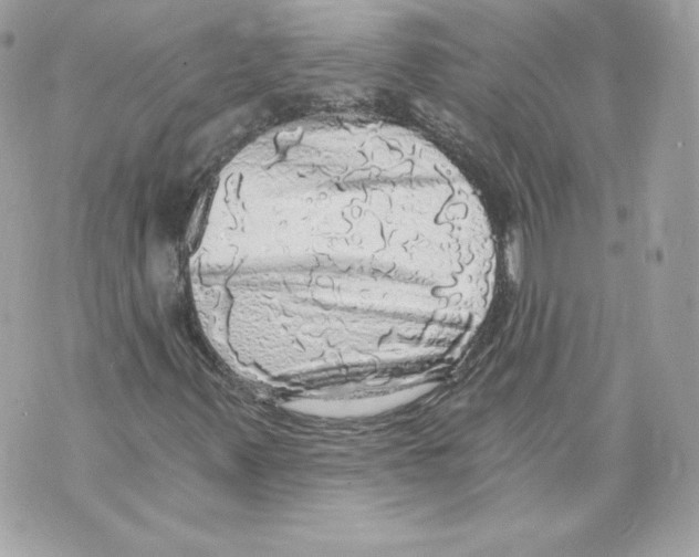 X0000069811347200606161839