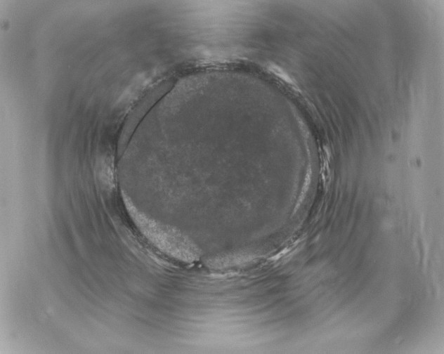 X0000069811348200606161839