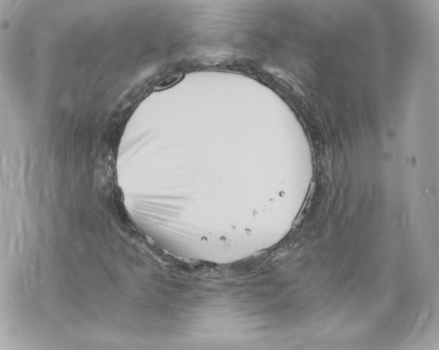 X0000069811349200606161839