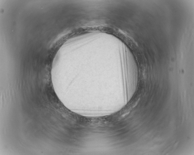 X0000069811350200606161839