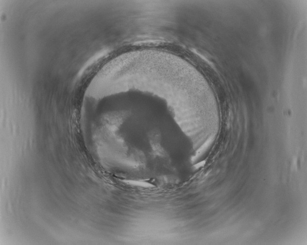 X0000069811351200606161839