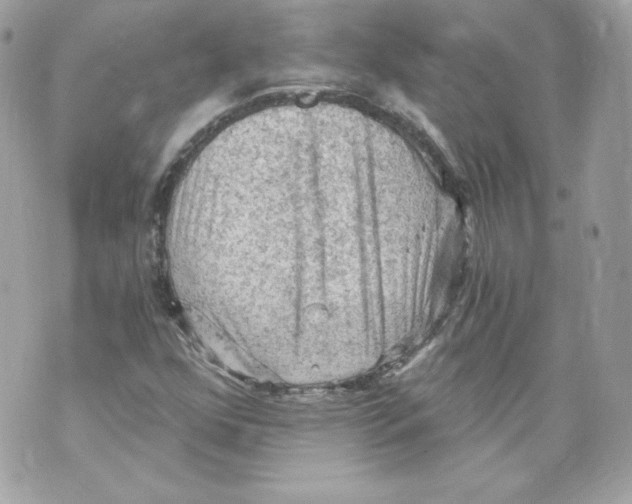 X0000069811352200606161839