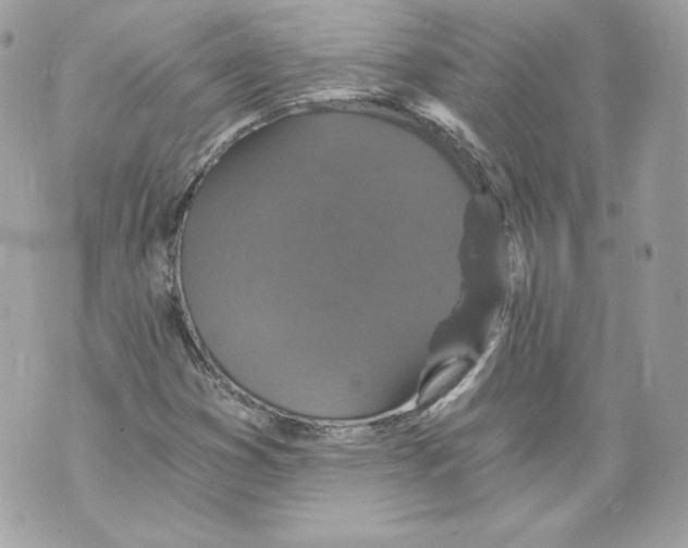 X0000069811353200606161839