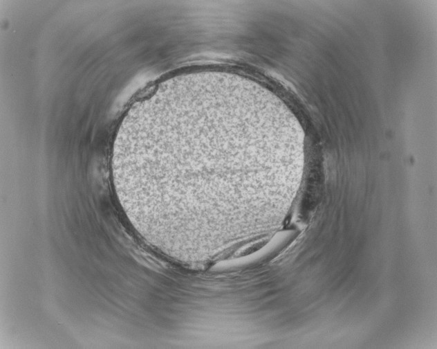 X0000069811355200606161839