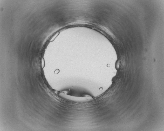 X0000069811356200606161839