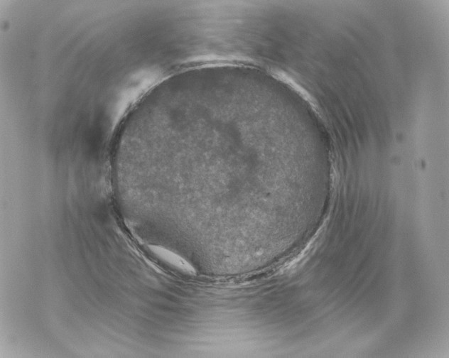 X0000069811357200606161839