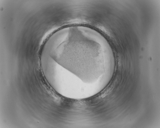 X0000069811358200606161839