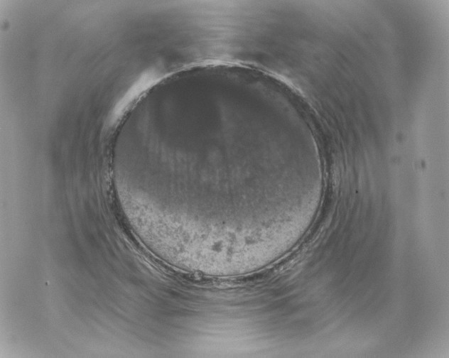 X0000069811359200606161839