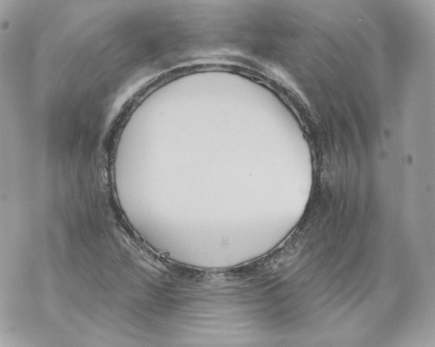 X0000069811360200606161839