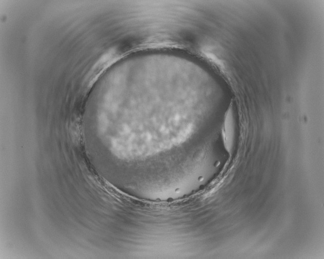 X0000069811361200606161839