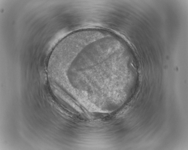 X0000069811363200606161839