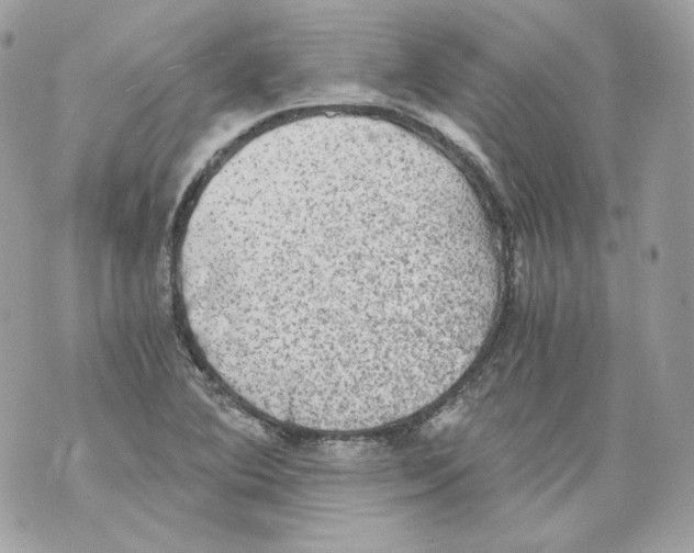 X0000069811364200606161839