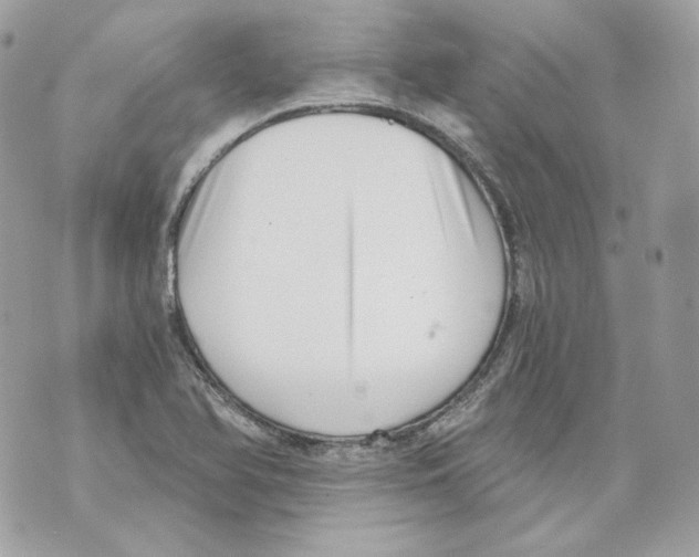 X0000069811366200606161839