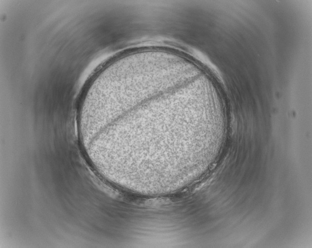 X0000069811368200606161839