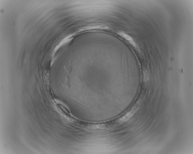 X0000069811369200606161838