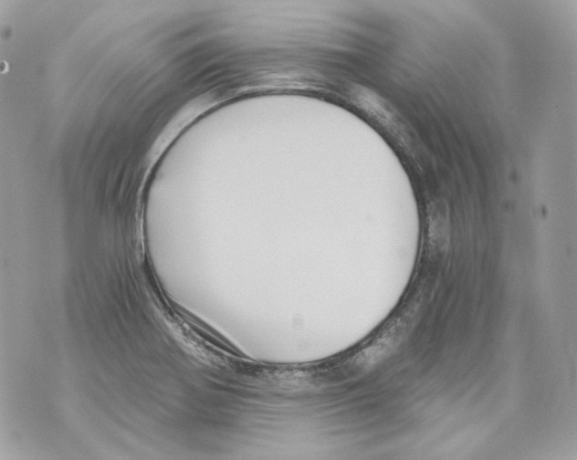 X0000069811370200606161838