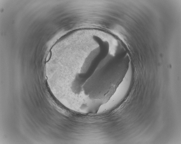 X0000069811371200606161838