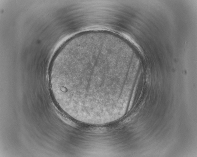 X0000069811372200606161838