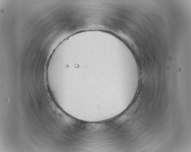 X0000069811374200606161838