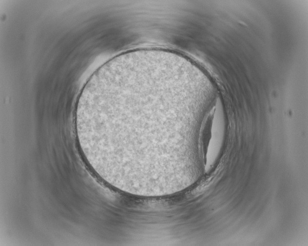 X0000069811375200606161838