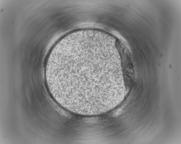 X0000069811376200606161838