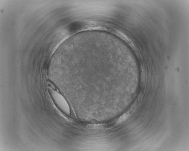 X0000069811377200606161838