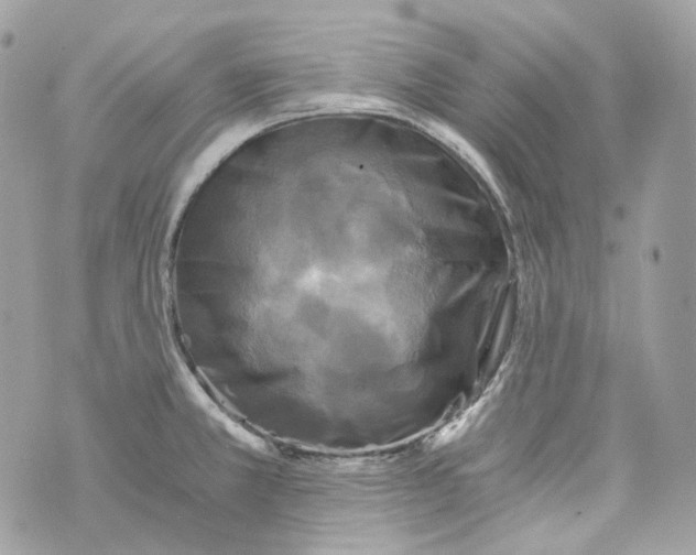 X0000069811381200606161838