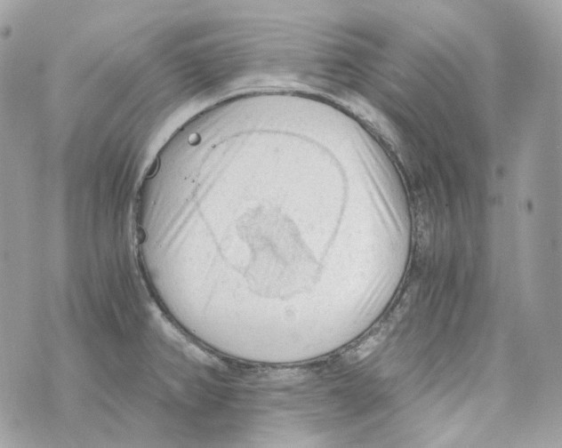 X0000069811382200606161838