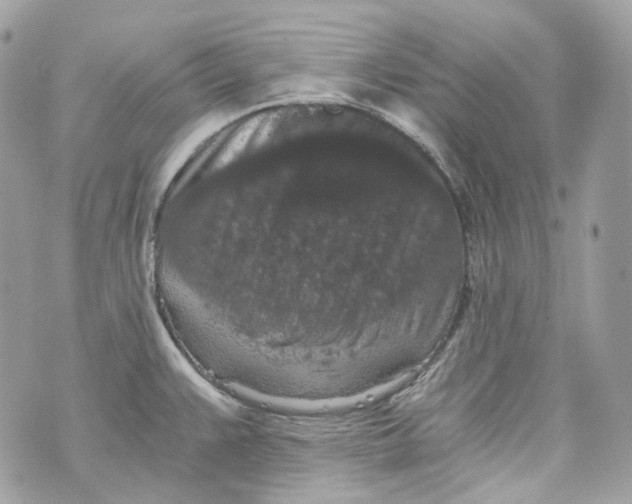 X0000069811383200606161838