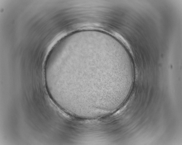 X0000069811384200606161838