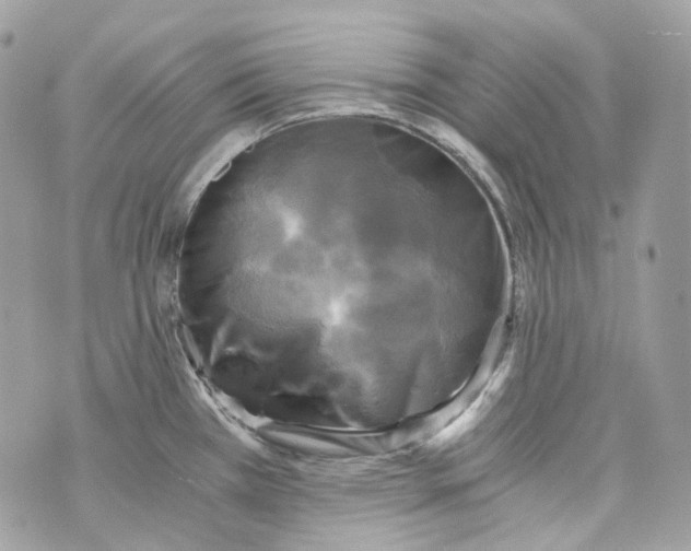 X0000069811385200606161838