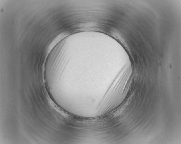 X0000069811386200606161838