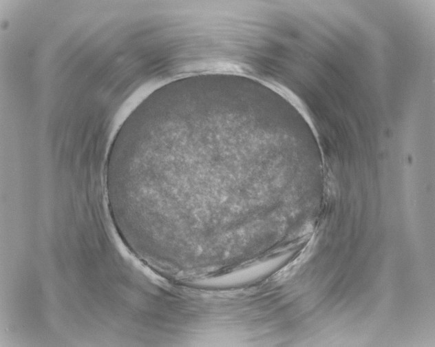 X0000069811389200606161838