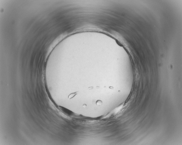 X0000069811390200606161838