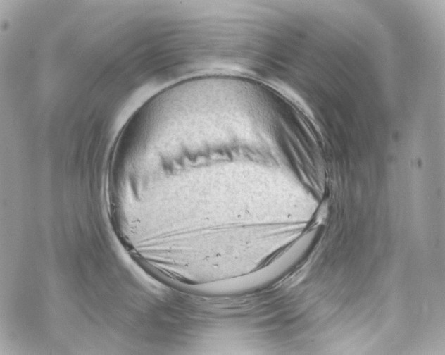 X0000069811391200606161838