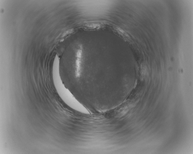 X0000069811394200606161837