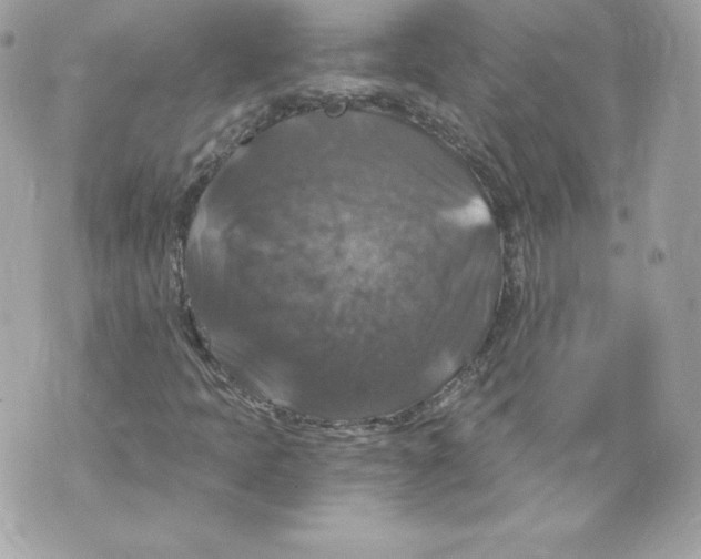 X0000069811397200606161837