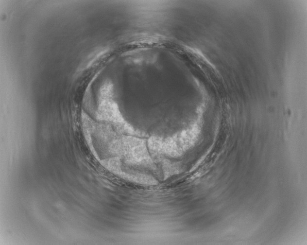 X0000069811399200606161837