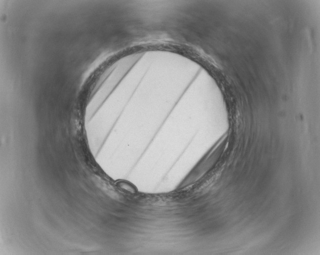 X0000069811400200606161837